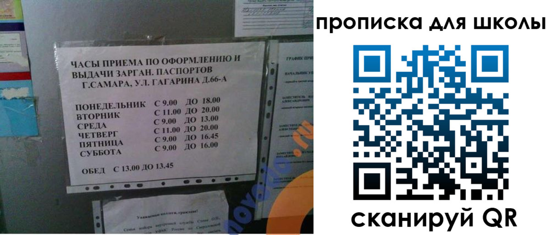 где прописаться в Гатчине